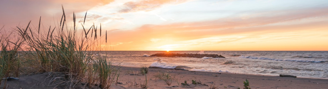 814.photo 09012025 18087397051343909