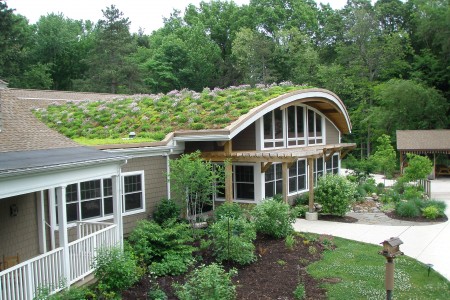 Asbury Woods Green Roof