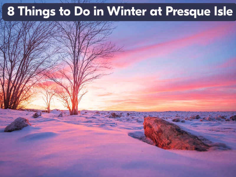 8 Things to Do in Winter at Presque Isle Blog image resize