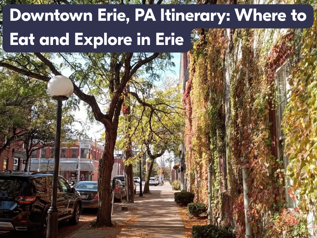 downtown erie blog image