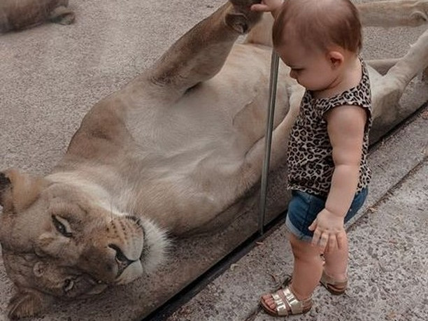 eriezoo 09012025 17895138878658085