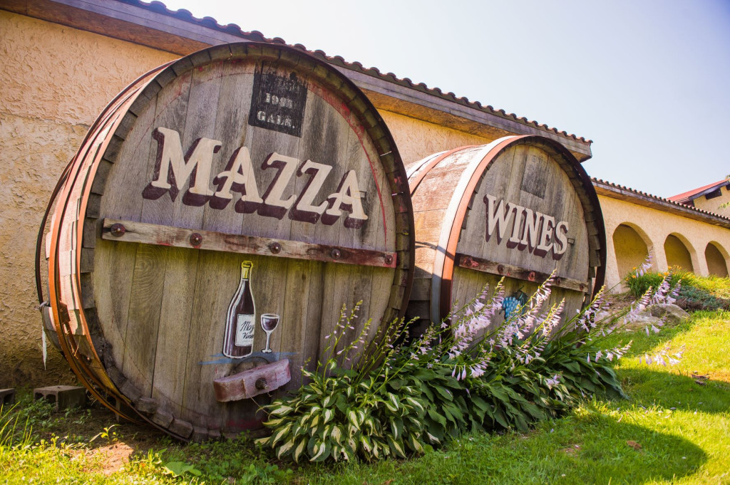 Mazza Vineyards credit R Frank WEB