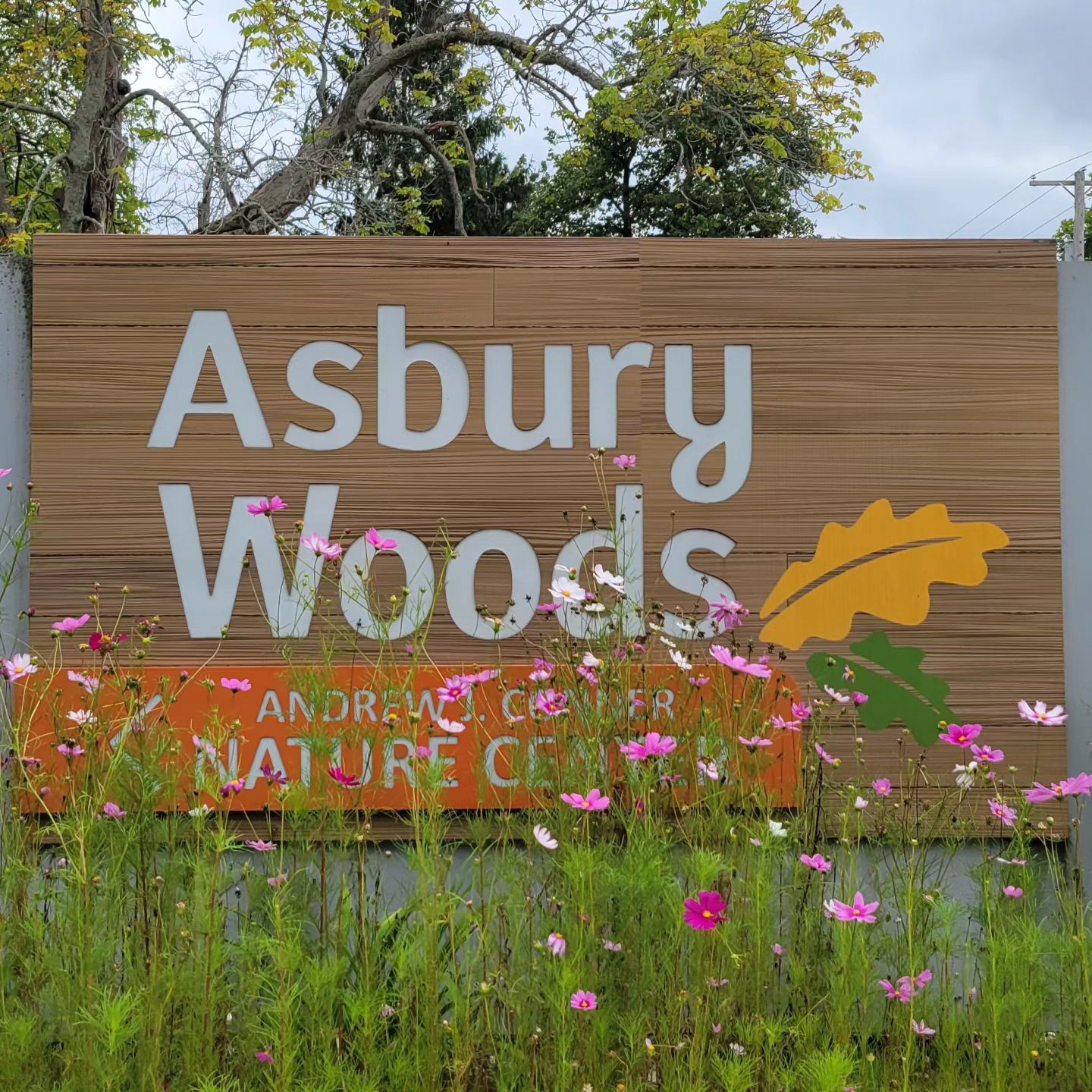 Asbury Woods Medicinal Plant Walk