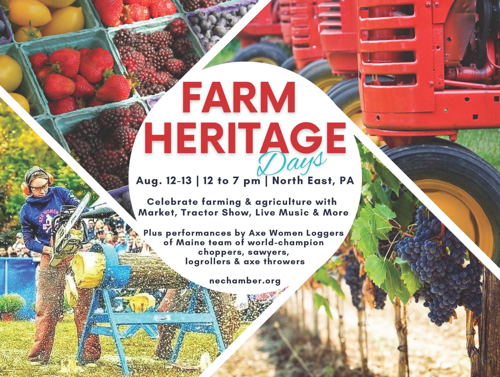 Farm Heritage Days in North East