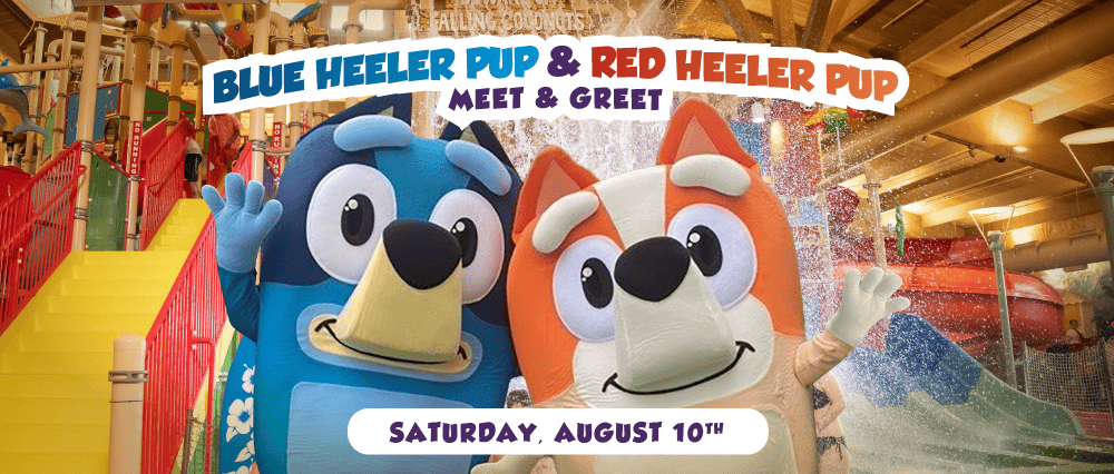 Blue Heeler & Red Heeler Pups Meet & Greet at Splash Lagoon