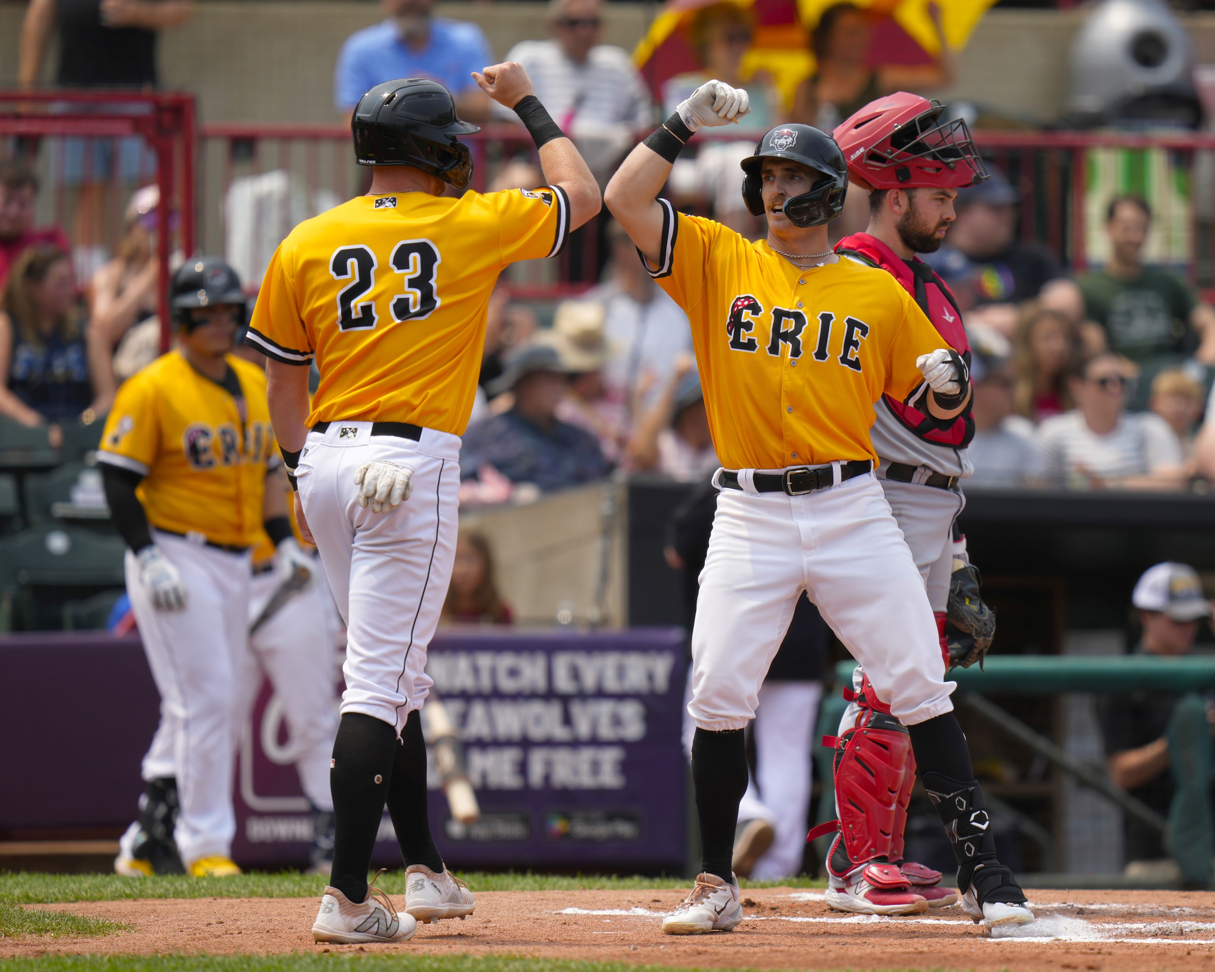 Erie SeaWolves vs. Harrisburg
