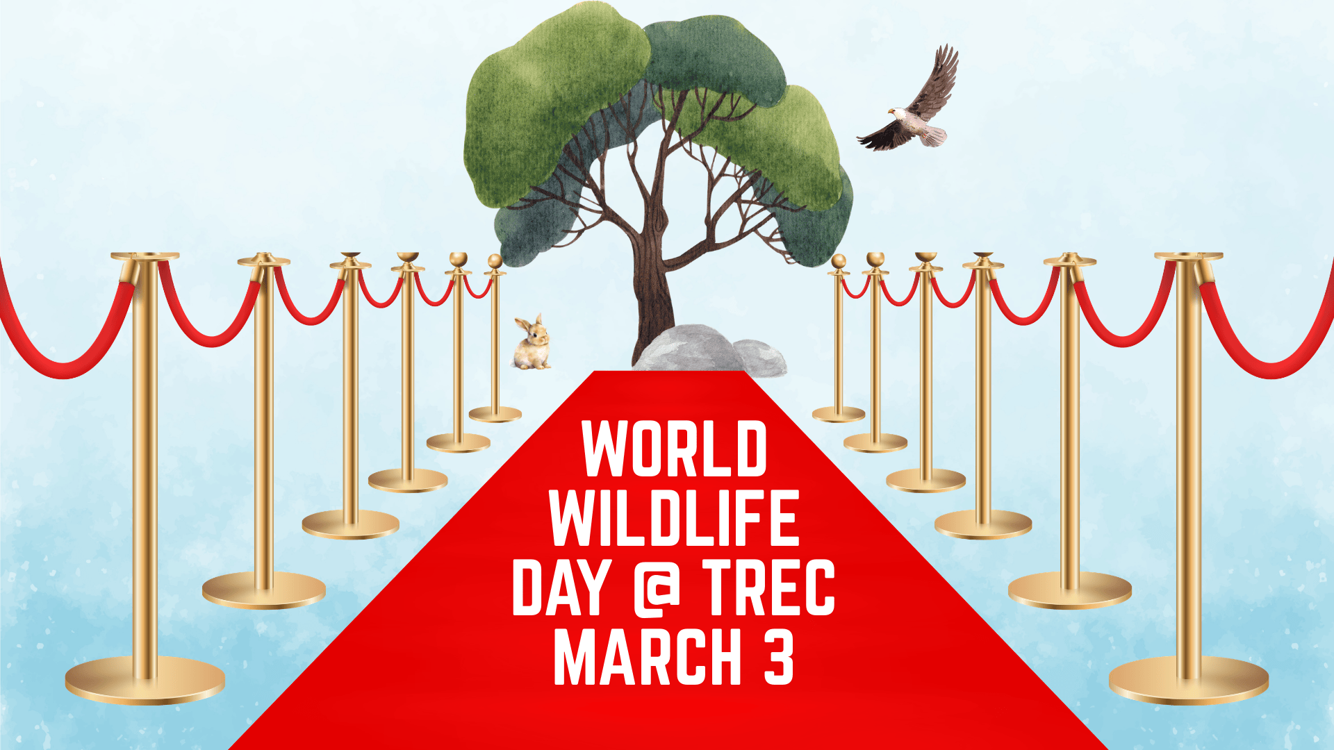 World Wildlife Day Celebration